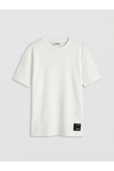 LC Waikiki منتجات فريزن ستور التي لا مثيل لها I تي شيرت منقوش للأولاد