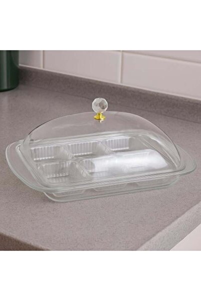 Generic Acrylic Serving Plate with Transparent Lid and Crystal Handle