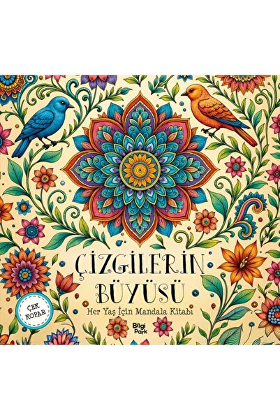 Yeditepe Yayınevi سحر الخطوط - ماندالا لجميع الأعمار - تشيك كوبار
