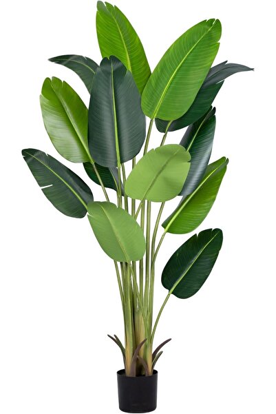 OEM Fake tropical palm tree 183 cm with 3 trunks, in pot, for home, indoor an...