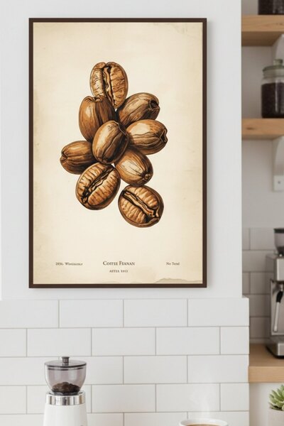 Bolvyra Vintage Kahve Çekirdeği İllüstrasyon Poster | Botanical Coffee Poster...
