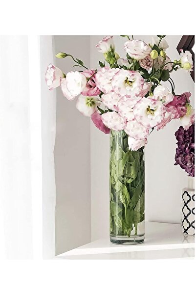 Mado Gallery 5pcs Cylinder Glass Vases for Home & Wedding Decor, Flower & Candle Centerpieces