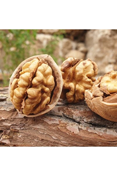 Bahçemden İncir Yerli Kabuklu Ceviz 1 Kg - İnce Kabuk Kolay Kırılan