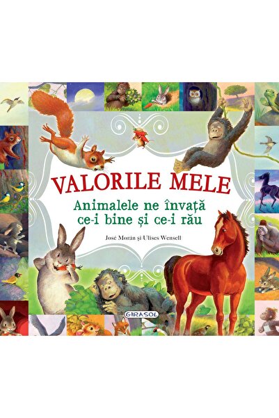 GIRASOL Valorile mele. Animalele ne invata ce-i bine si ce-i rau