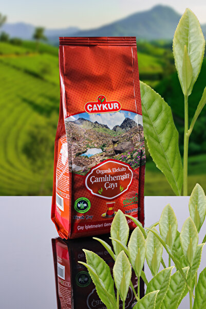 Çaykur ORGANİK ELEKALTI ÇAMLIHEMŞİN ÇAYI 80 GR 20 ADET (1 KOLİ)