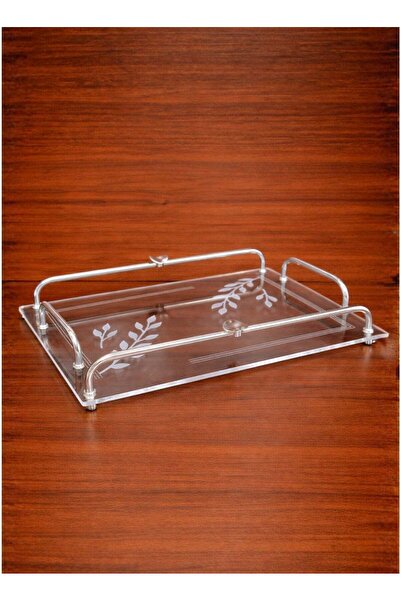 ALQANNAS Modern Rectangular Acrylic Serving Tray with Silver Stainless Steel ...