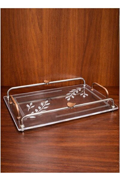 ALQANNAS Modern Rectangular Acrylic Serving Tray with Wood-Finish Stainless S...