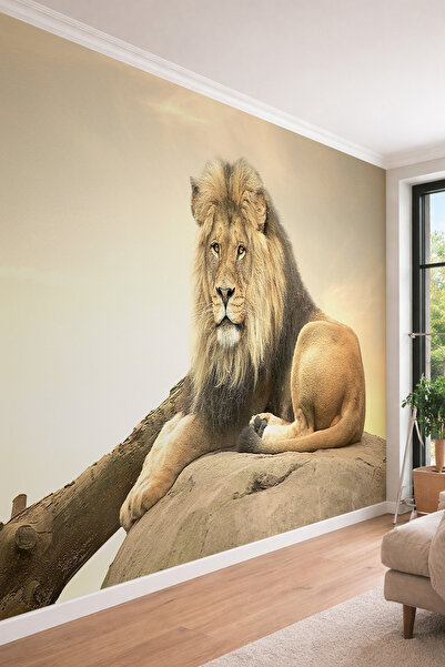 dreamwall Görkemli Aslan Silüeti - Vahşi Doğa Temalı 3D Etkili Tek Parça Teks...