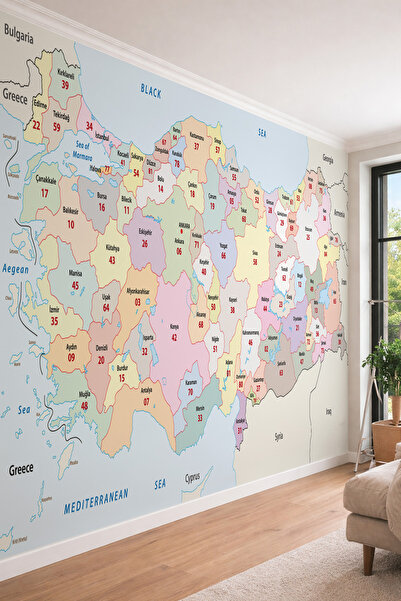 dreamwall Eğitici Renkli Türkiye Siyasi Haritası - Okul ve Ofis İçin Tek Parç...