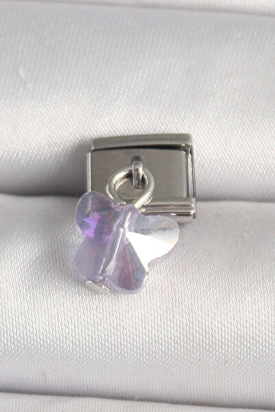 Skygo 316L Steel Silver Color Purple Zircon Stone Nomination Charm - Tj-Bc1318