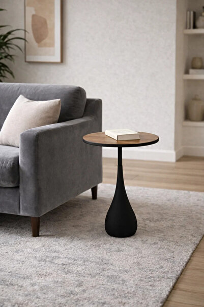 MARIA HOMES Stylish Round End Side Table Brown Wood Top Black Metal Pedestal ...