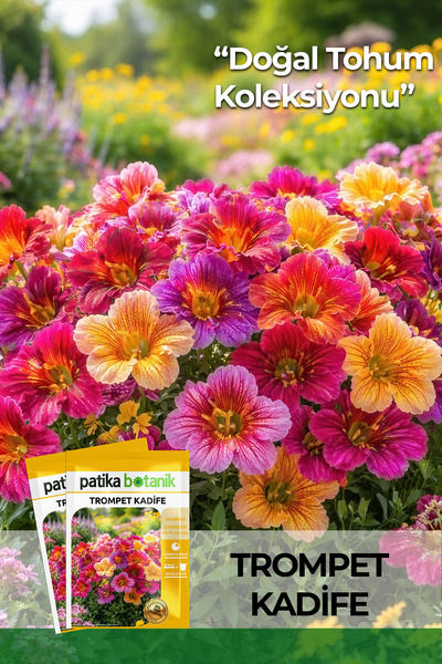 Patika Botanik 100 Adet Trompet Kadife Çiçek Tohumu (Salpiglossis Sinuata)