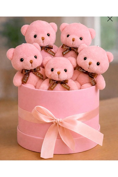 PRİYA JEWELERY Sevgiliye Özel 5'li Peluş Pembe Ayıcık Hediye Seti Sevgililer ...