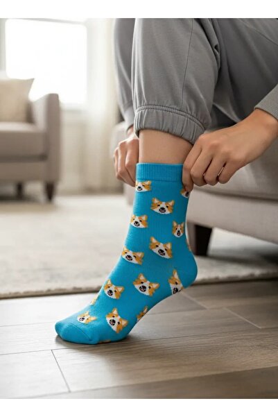 CANMODA جوارب قطنية ملونة باللون الأزرق بنمط كلب الكورجي للجنسين (تناسب المقا...