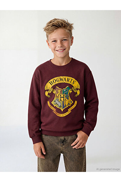 LC Waikiki منتجات فريزن ستور التي لا مثيل لها I سويت شيرت مطبوع عليه هاري بوت...