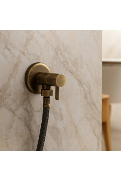 banyosepeti Antique Vintage Wall-Mounted Bidet Faucet and Flexible Hose Set A...