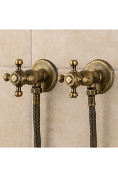 banyosepeti Classico Series Antique Antique Toilet Bidet Hose Set of 2 – Bras...