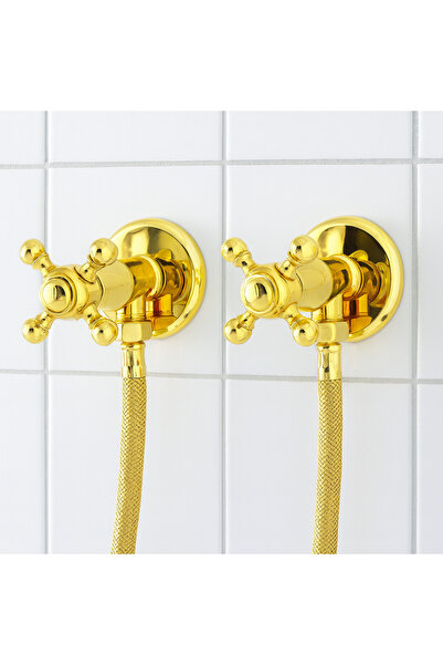 banyosepeti Classico Series Gold Taharet Flex Hose Set of 2 – Brass Tipped