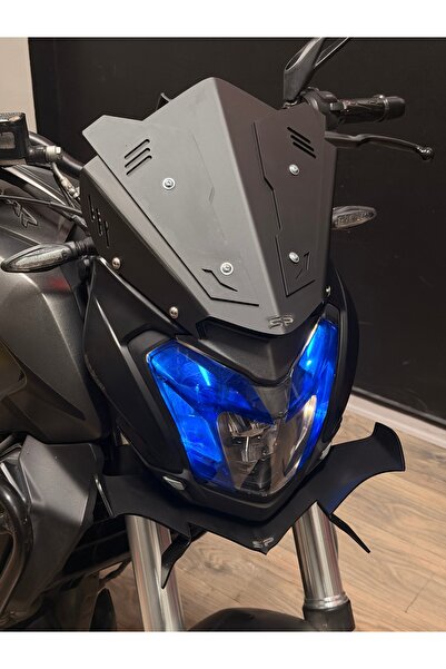 Bajaj DOMİNAR D250-D400 SPOR CAM (SPERLİK) MAT METALİK