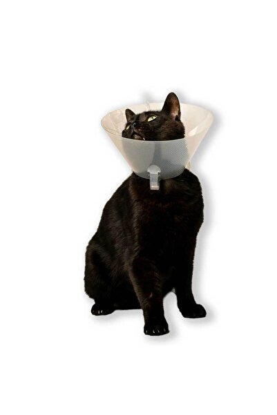 PisiMall Pet Recovery Collar