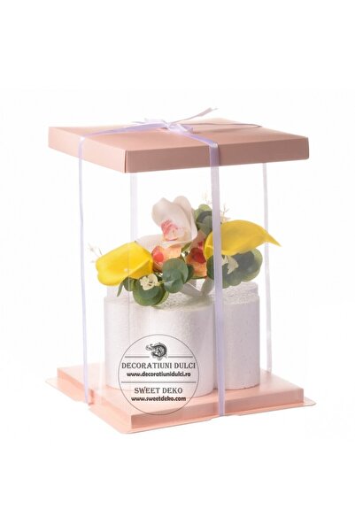 Decoratiuni Dulci Cutie transparenta patrata pentru tort (capac/suport somon)...