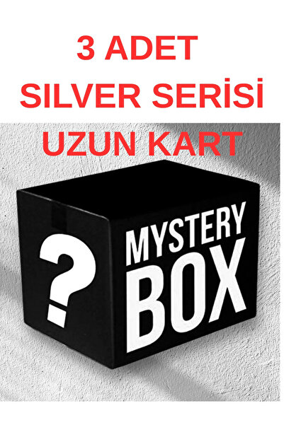 HOT WHEELS Mystery Box 2025-2026 3 Adet Sılver Serisi Uzun Kart Modeli Özel K...