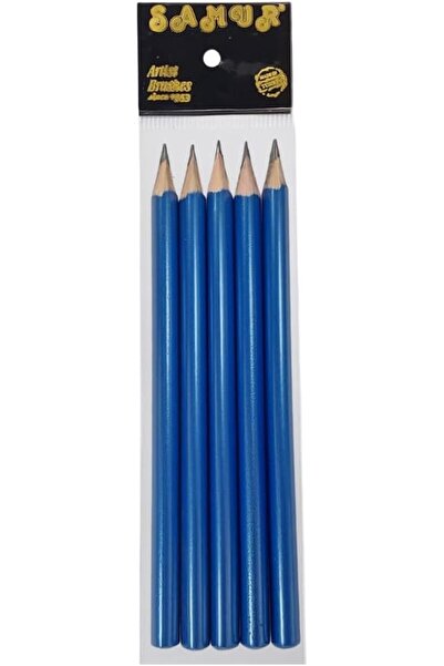 Nacario Nrcrioshop 5-Pack Thick Hb Pencil with Eraser, 0.7 Mm, Natural, Trian...