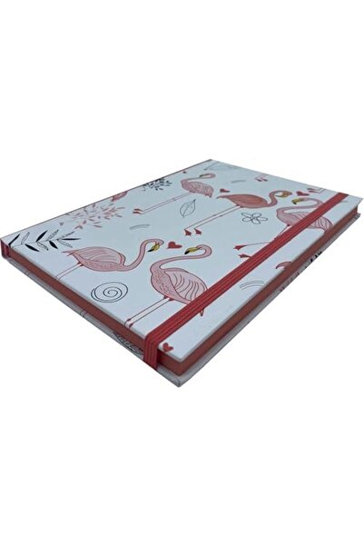 Nacario دفتر ملاحظات بدون خطوط من نركريوشوب 1201248