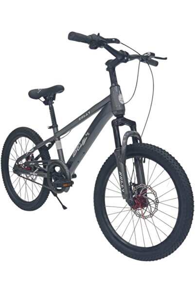 Leno Freestyle Bicycle 20 Inch with Disc Brakes - BBC3574