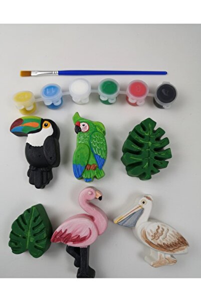 crafts tasarım atölyesi Tropikal 6 Lı Hayvan Boyama Seti ve 6 Lı Şerit Akrili...
