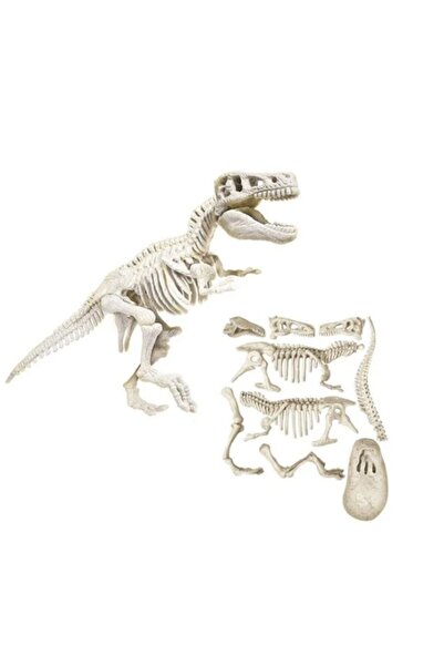 CLEMENTONI Stiinta & Joaca Dinozauri Tiranozauri - AS