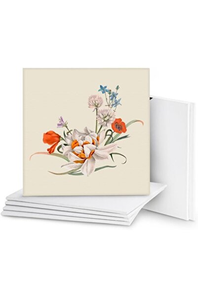 Belle Vous Set of 7 canvases, 40x40cm, white, for acrylic and oil