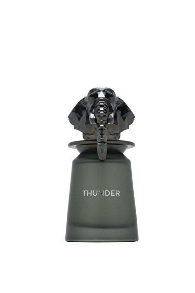 FRENCH AVENUE Thunder - Eau de Parfum - Perfume For Men, 100ml