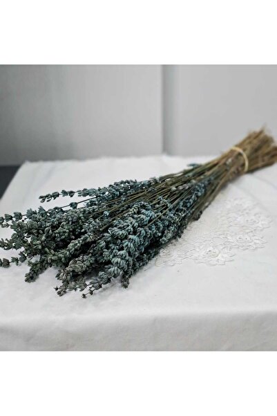 Birlik Lavanta Çiçeği Mavi