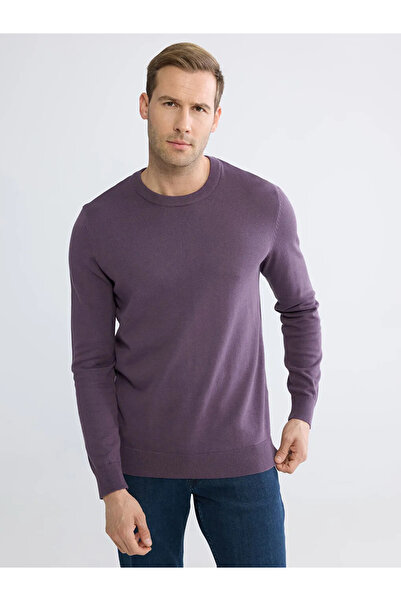 LC Waikiki Pulover pentru bărbați Plum guler rotund