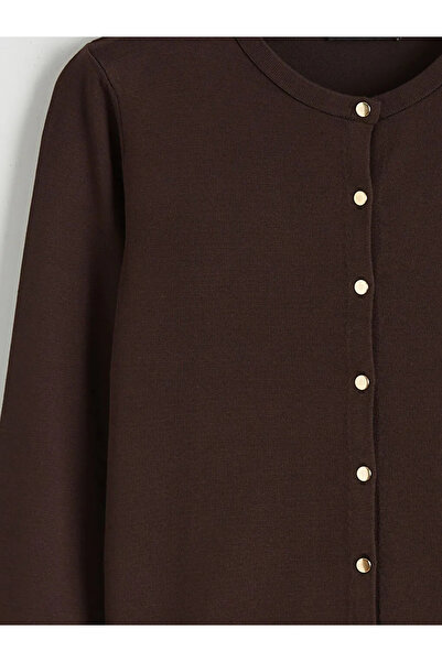 LC Waikiki Brown Crew Neck Women's Knitwear Cardigan