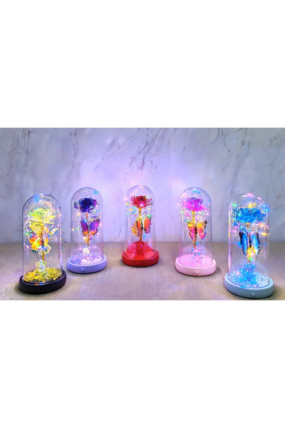 Epilons Romantic Butterfly Rose in a Jar with Lights and Music