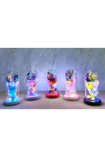 Epilons وردة رومانسية باللافندر داخل جرة زجاجية مضاءة وموسيقية