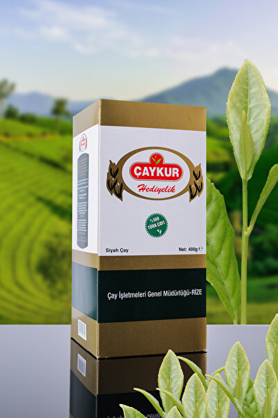 Çaykur ELEKALTI HEDİYELİK 400 GR 9 ADET (1 KOLİ)