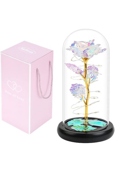 OEM Galaxy Rose în cupolă de sticlă