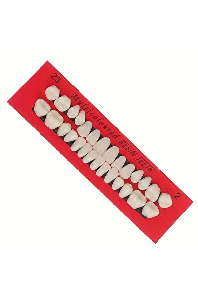 Choice 28 قطعة من نماذج تدريب طب الأسنان، نماذج أسنان دائمة، أطقم أسنان من ال...