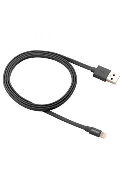 CANYON CNS-MFIC3DG USB/Lightning 1m Gri
