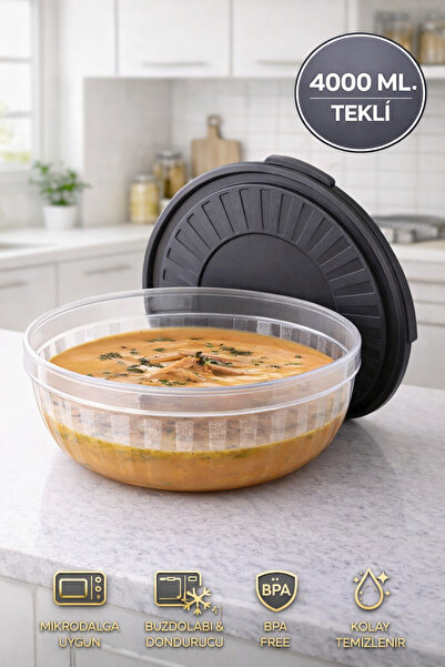 Open Home Concept 4 Lt Transparent Storage Container with Lid