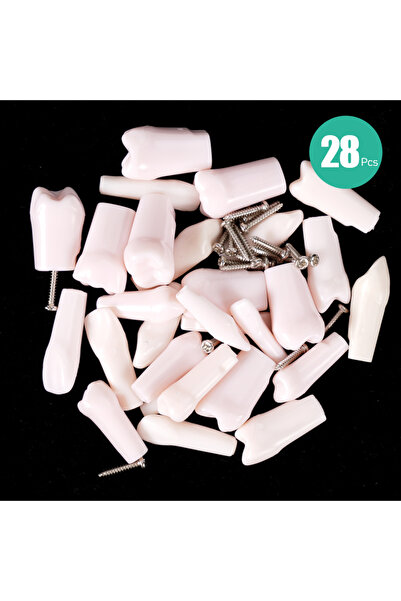 Choice 28pcs Dental Teeth Model Typodont Screw-in Replacement Teeth Dentistry...