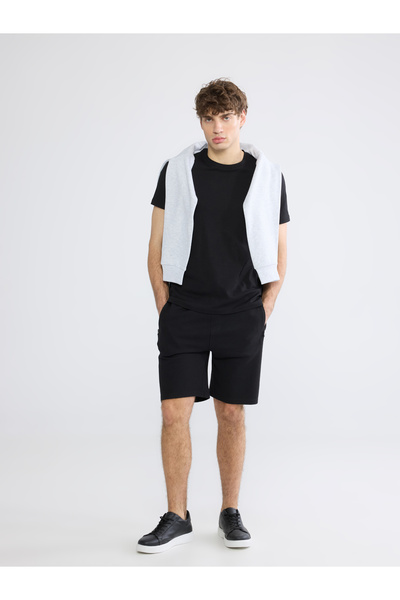 LC Waikiki Standard Fit Men's Shorts