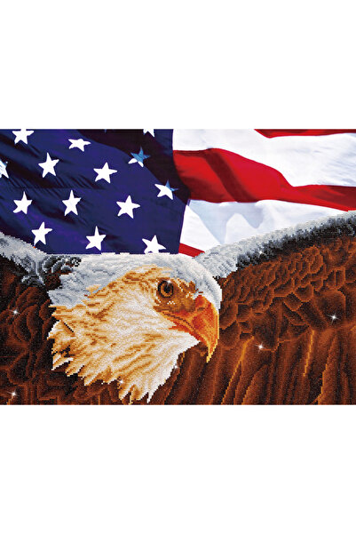 diamond dotz Tablou cu diamante - Vultur și drapel american, 56 x 71 cm