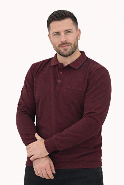 FORMO Ανδρικό βαμβακερό μακρυμάνικο φούτερ με γιακά πόλο και μανσέτες, από ύφ...