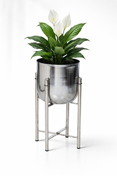 Valda 45 CM NİKEL KROM AYAKLI SAKSILIK ÇAP 25 CM