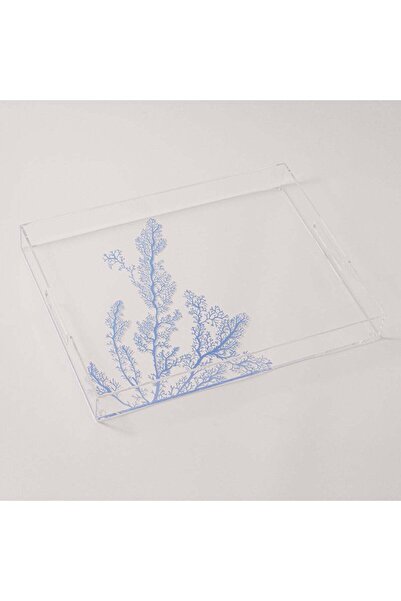 Generic صينية تقديم أكريليك من دالاتي، 40 × 30 × 6 سم