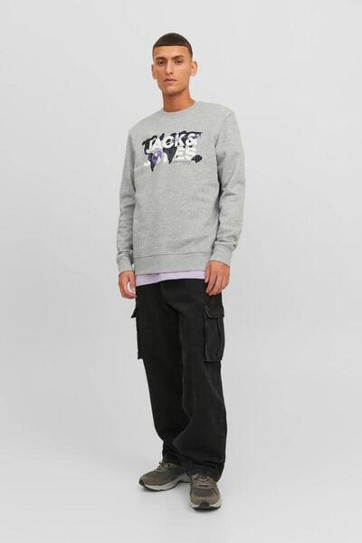 Jack & Jones JCODUST SWEAT CREW NECK